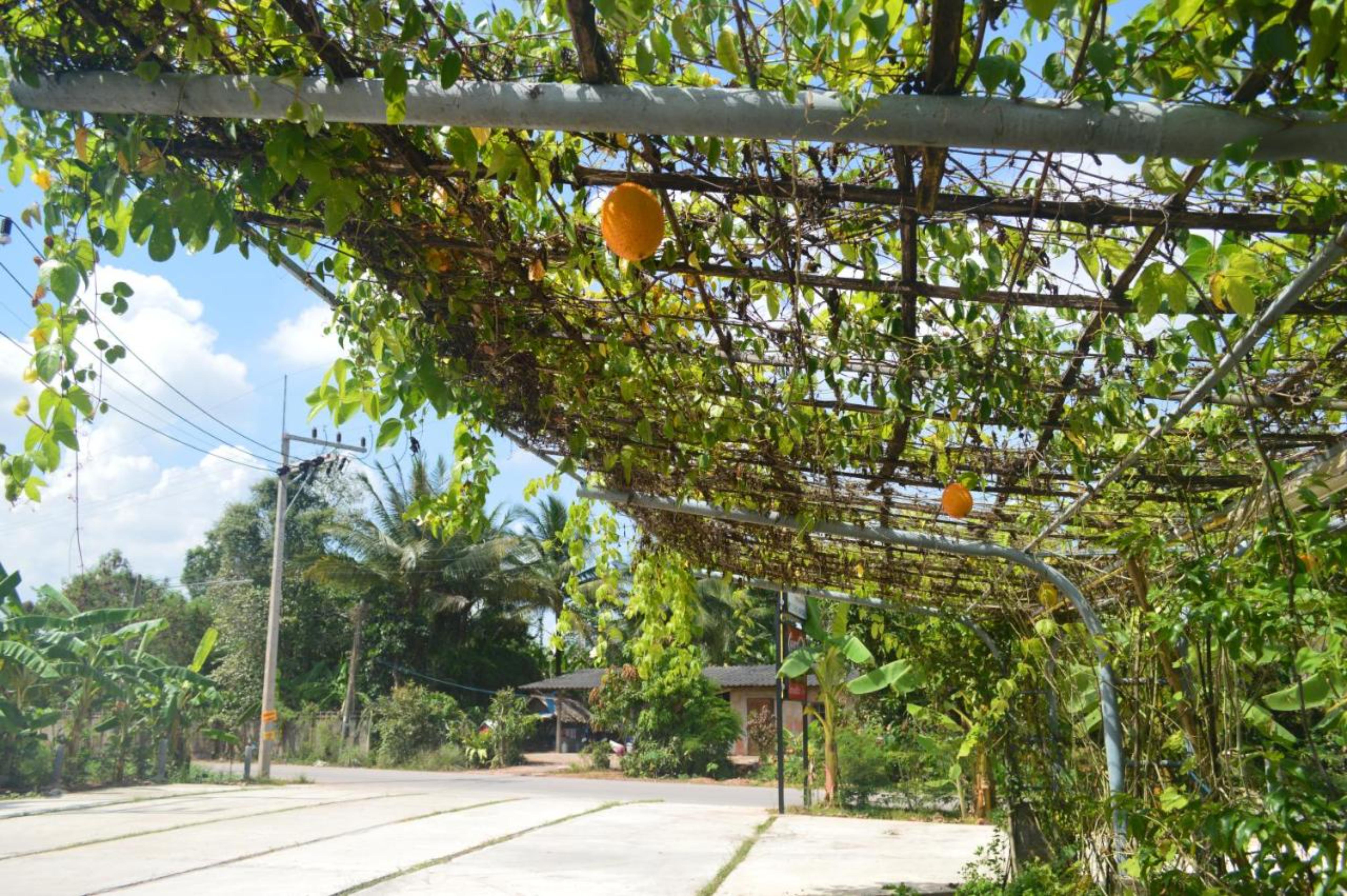 Be Fine Sabuy Hotel And Resort Surat Thani Ngoại thất bức ảnh
